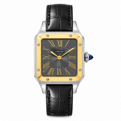 Cartier Santos-Dumont Large 43.5 mm x 31.4 mm W2SA0036 Two-Tone